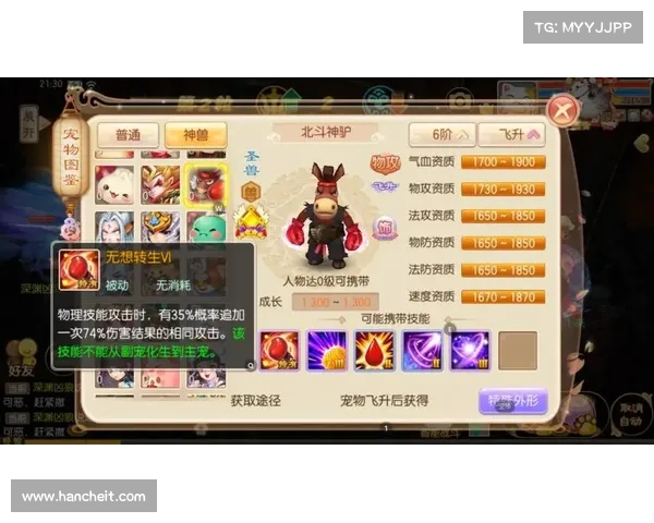 梦幻诛仙宠物强化秘籍全解析助力战斗提升实力技巧详解